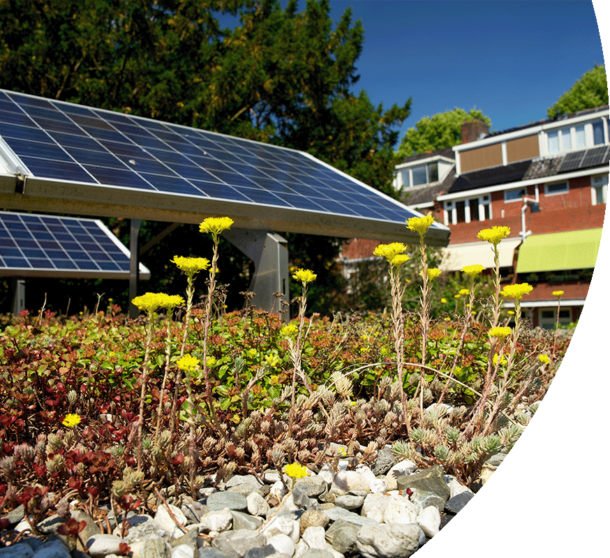 Header Bild Solar Paneele